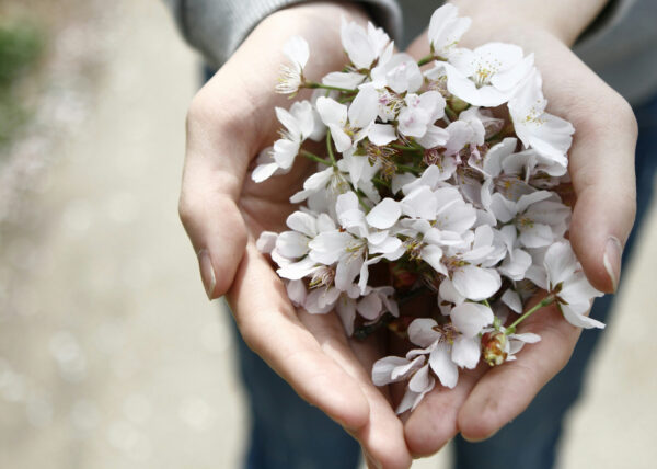 Self and Wounds at the level of Being