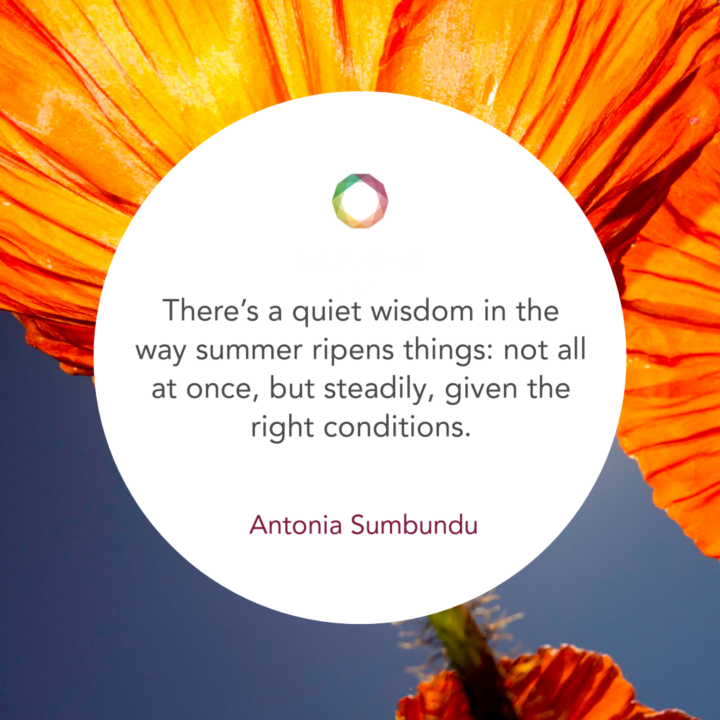 Day of Practice - Antonia Sumbundu - Jul 26, 2025