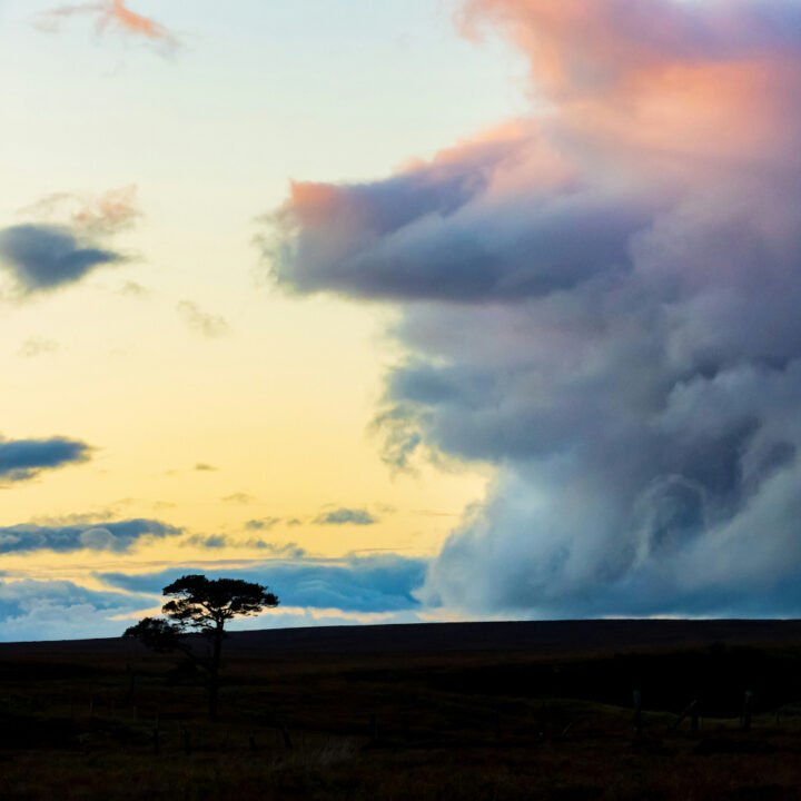 Real Equanimity Alongside Emotions w/ Milla Gregor